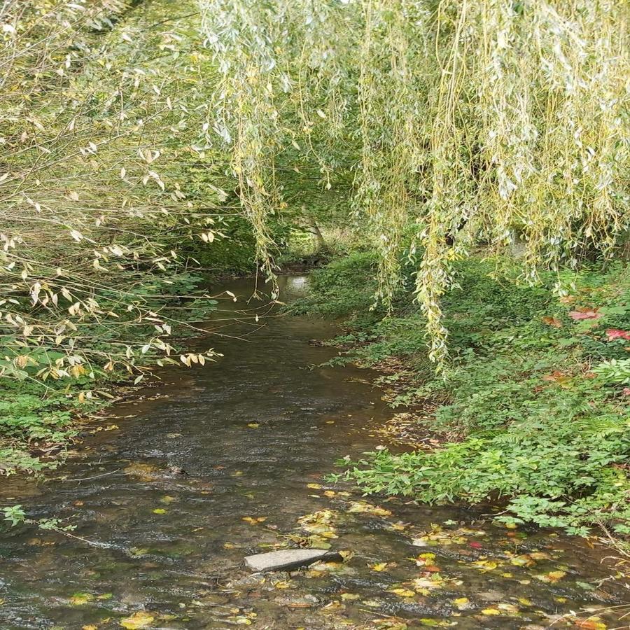 Gite La Riviera Wargnies-le-Grand Εξωτερικό φωτογραφία